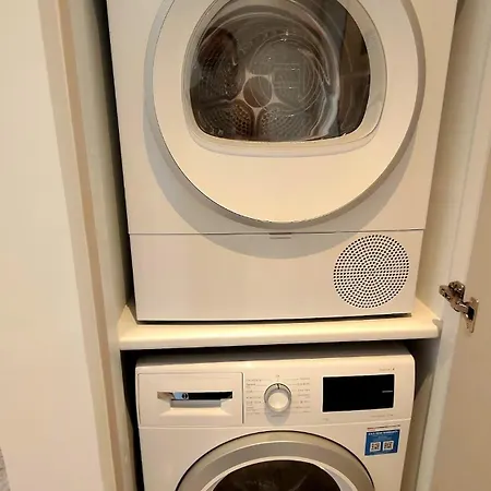 Zantis Executive 102